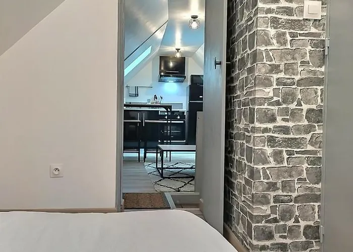 Appartement Les Du Pont - Lit Double - Wifi - Inclus - 8 Troyes